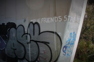 "True friends stab you in the face". Graffiti on the Penryn bypass flyover.